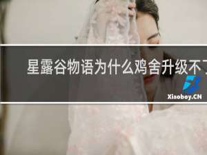 星露谷物语为什么鸡舍升级不了