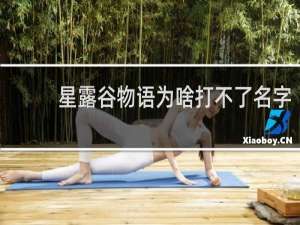 星露谷物语为啥打不了名字