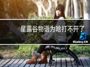 星露谷物语为啥打不开了