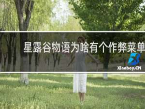 星露谷物语为啥有个作弊菜单