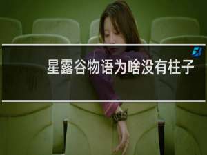 星露谷物语为啥没有柱子