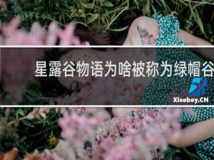 星露谷物语为啥被称为绿帽谷