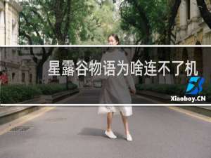 星露谷物语为啥连不了机