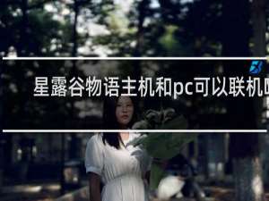 星露谷物语主机和pc可以联机吗