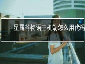 星露谷物语主机端怎么用代码