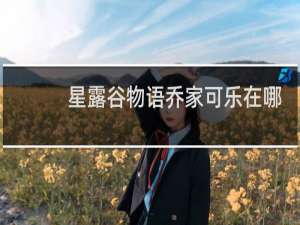 星露谷物语乔家可乐在哪