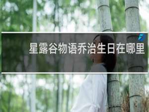 星露谷物语乔治生日在哪里