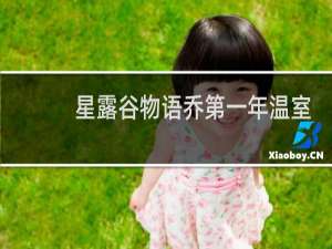 星露谷物语乔第一年温室