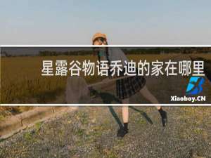 星露谷物语乔迪的家在哪里