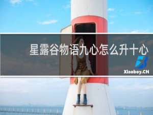 星露谷物语九心怎么升十心