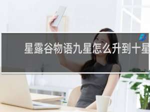 星露谷物语九星怎么升到十星