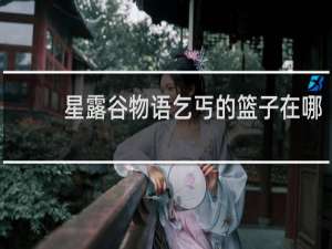 星露谷物语乞丐的篮子在哪