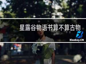 星露谷物语书算不算古物