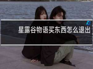 星露谷物语买东西怎么退出