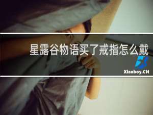 星露谷物语买了戒指怎么戴