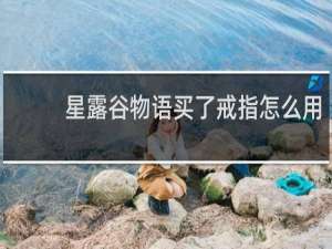 星露谷物语买了戒指怎么用