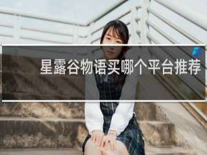 星露谷物语买哪个平台推荐