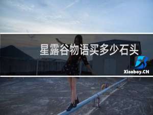 星露谷物语买多少石头