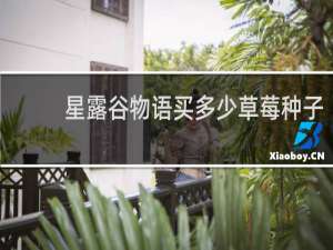 星露谷物语买多少草莓种子