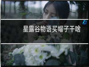 星露谷物语买帽子干啥