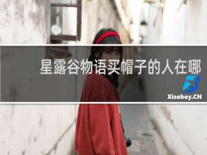 星露谷物语买帽子的人在哪