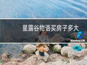 星露谷物语买房子多大