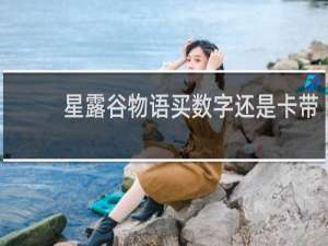 星露谷物语买数字还是卡带
