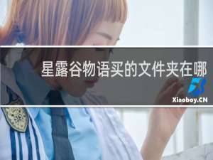 星露谷物语买的文件夹在哪