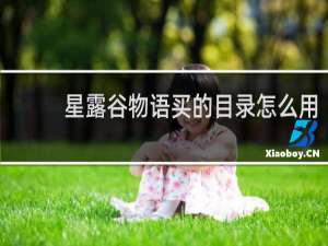 星露谷物语买的目录怎么用