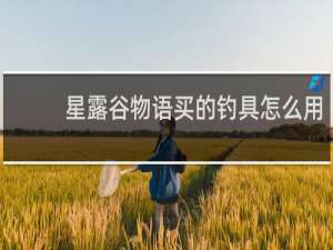 星露谷物语买的钓具怎么用