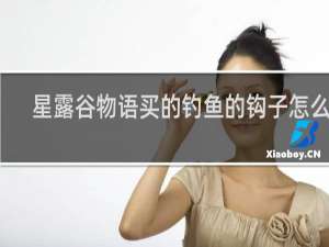 星露谷物语买的钓鱼的钩子怎么用