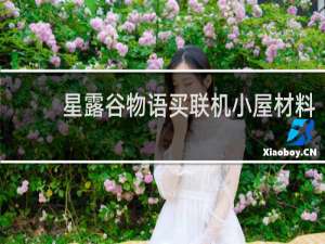 星露谷物语买联机小屋材料