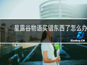 星露谷物语买错东西了怎么办