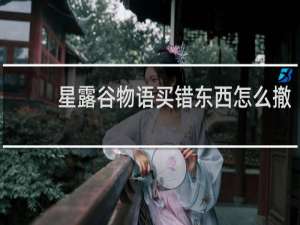 星露谷物语买错东西怎么撤