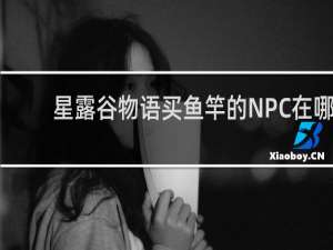 星露谷物语买鱼竿的NPC在哪
