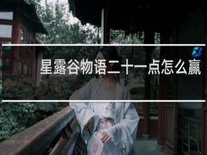 星露谷物语二十一点怎么赢