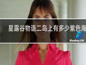 星露谷物语二岛上有多少紫色海星