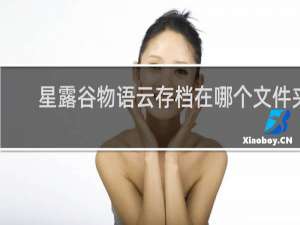 星露谷物语云存档在哪个文件夹