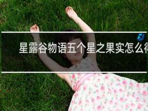 星露谷物语五个星之果实怎么得