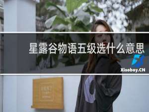 星露谷物语五级选什么意思