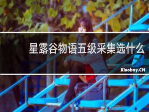 星露谷物语五级采集选什么