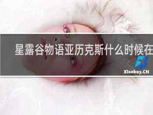 星露谷物语亚历克斯什么时候在家