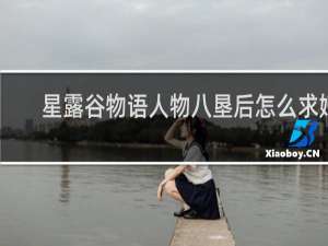 星露谷物语人物八垦后怎么求婚
