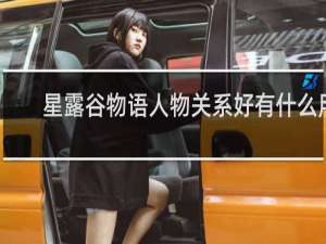 星露谷物语人物关系好有什么用