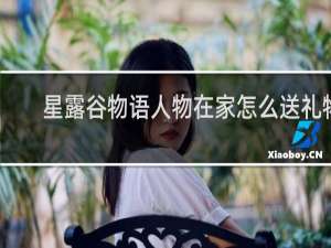 星露谷物语人物在家怎么送礼物