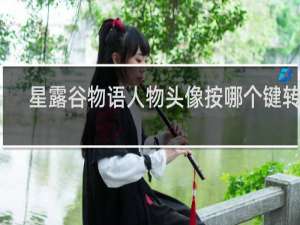 星露谷物语人物头像按哪个键转换
