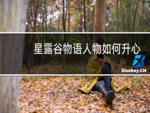 星露谷物语人物如何升心