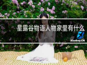 星露谷物语人物家里有什么
