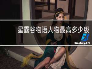 星露谷物语人物最高多少级