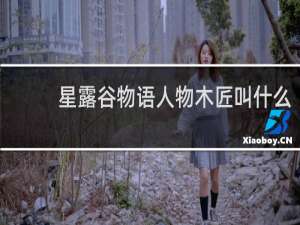 星露谷物语人物木匠叫什么